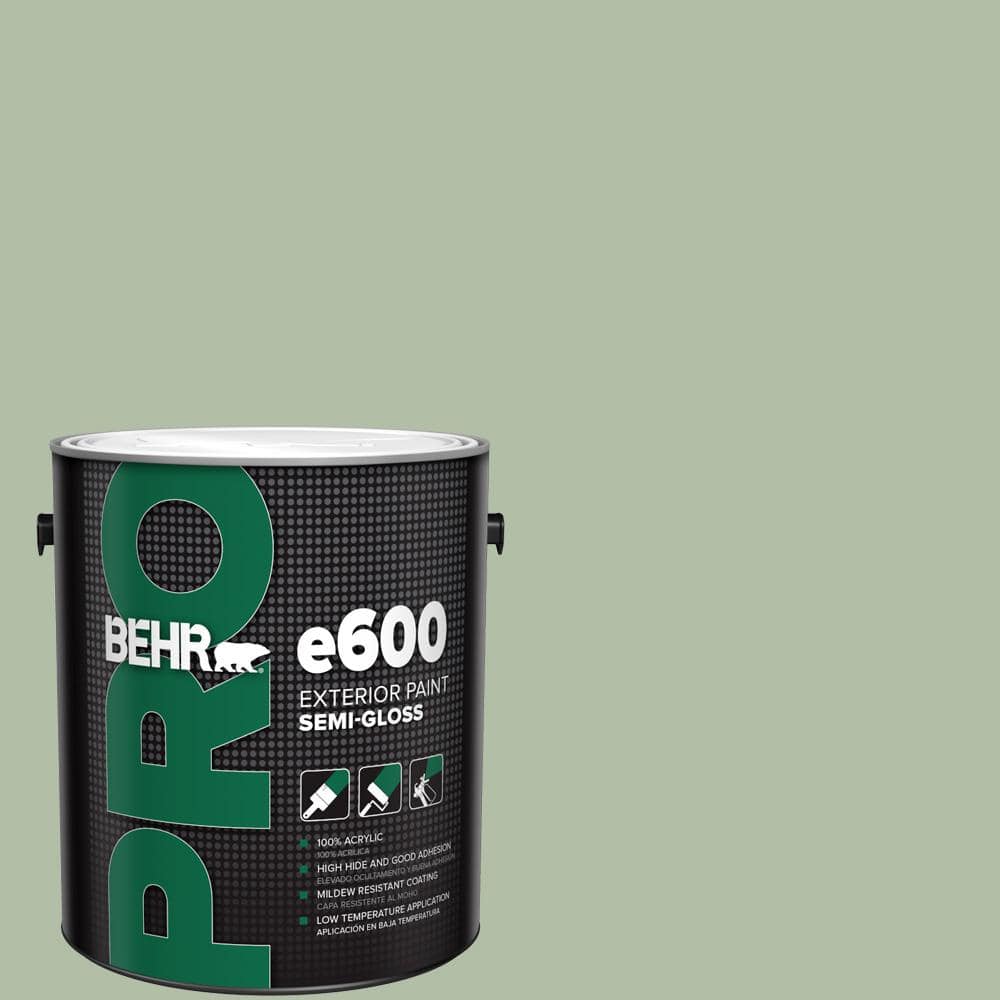 1 gal. #S390-3 Creamy Spinach Semi-Gloss Exterior Paint price history on PriceWatchPro