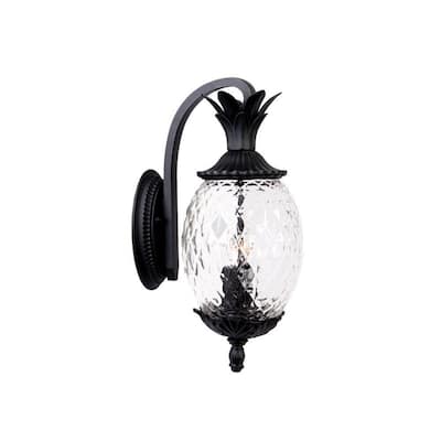 acclaim lighting lanai collection