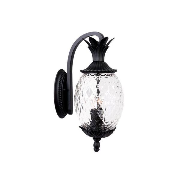 Acclaim Lighting Lanai Collection 2-Light Matte Black Outdoor Wall Lantern Sconce