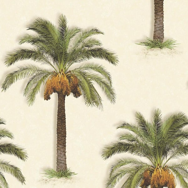 SK Filson Stone Palm Trees Wallpaper