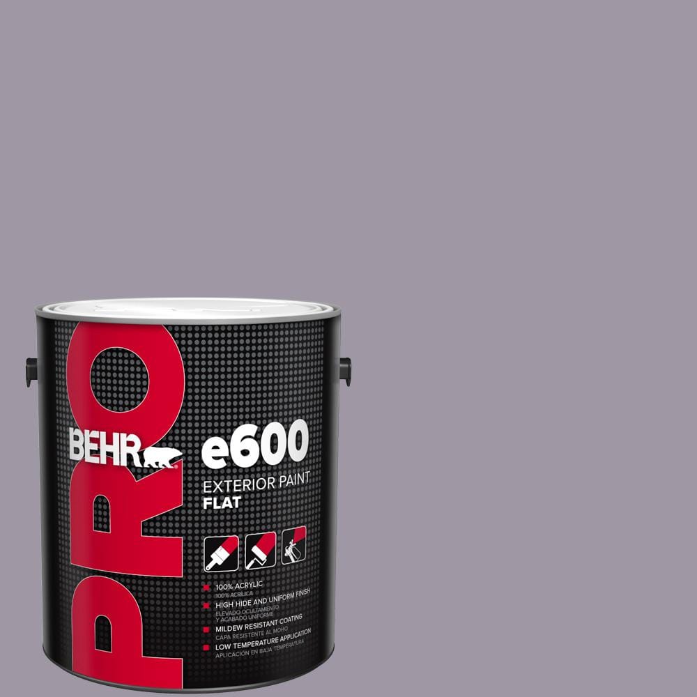 1 gal. #N100-4 Fortune Flat Exterior Paint price history on PriceWatchPro