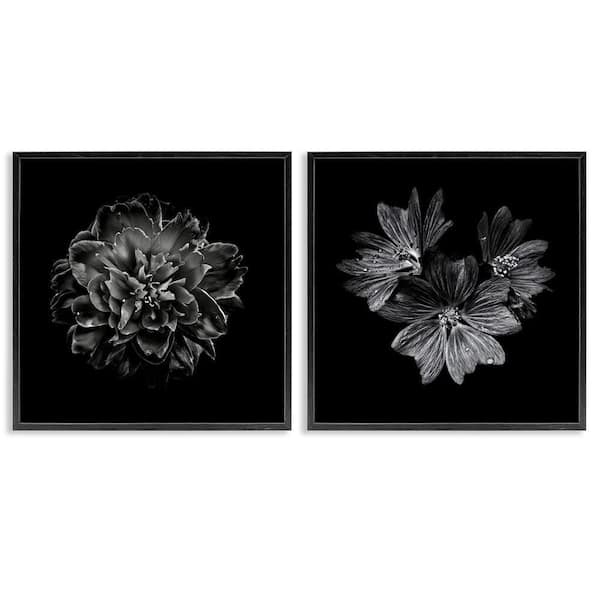 Stupell Industries Blossoms with Water Droplets by Brian Carson 2 Pieces Black Framed Animal Giclee Art Print 24 in. x 24 in.