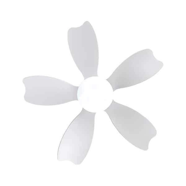 Etokfoks 30 in. Indoor Small Kid's LED Ceiling Fan Lighting with