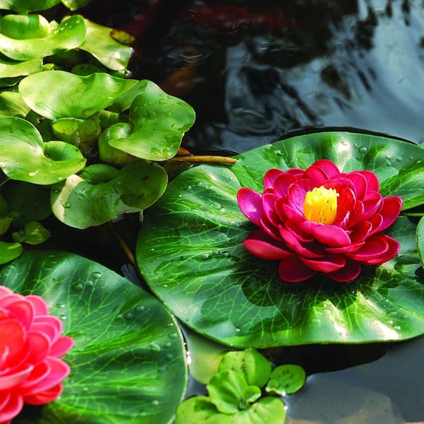 Details about   4 Ganz 7" Floating Flowers on Lily Pad Pond Pool Garden White Red Pink Purple 