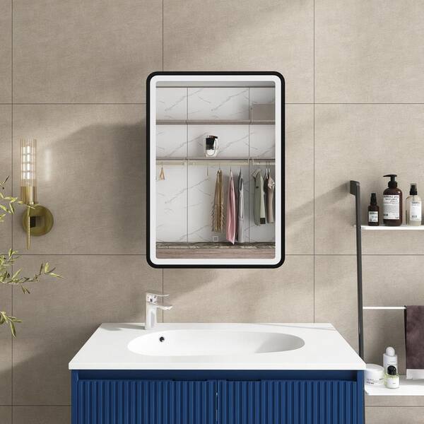 Boosicavelly 20 in. W x 28 in. H Rectangular Metal Medicine Cabinet with Mirror
