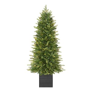 4 ft. Grand Duchess Twinkling Balsam Fir Potted LED Pre-Lit Artificial Tree G3