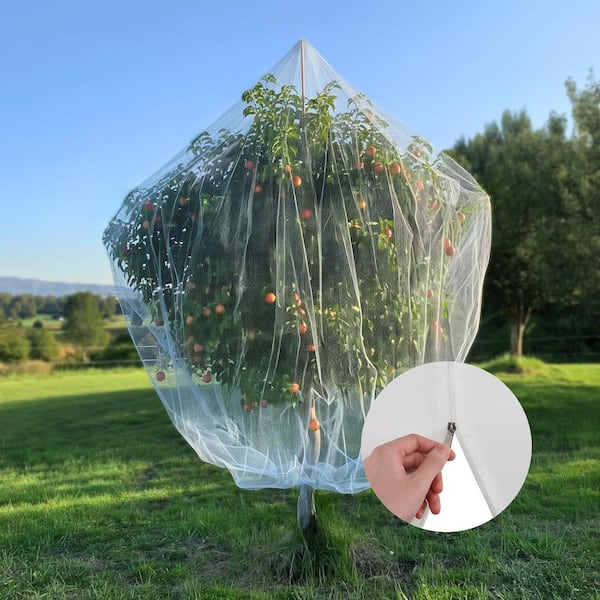 How to Use Bird Netting on Fruit Trees: Ultimate Protection Tips