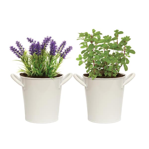 Garden State Bulb Herb Garden Kit with White Metal Planter (Mint and Lavender) (2-Pack)