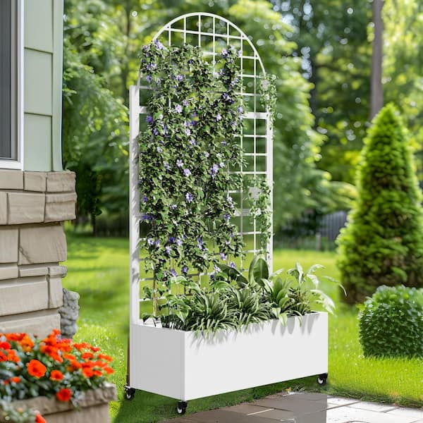Dovelina 73 in. x16 in. x35 in. White Metal Iron Planter Box with Attached Trellis for Climbing Vegetation