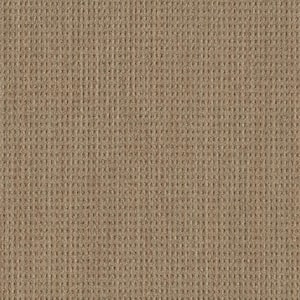 8 in. x 8 in. Pattern Carpet Sample - Sicily - Color Warmth