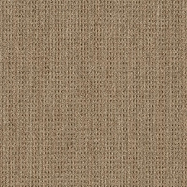 Lifeproof 8 in. x 8 in. Pattern Carpet Sample - Sicily - Color Warmth
