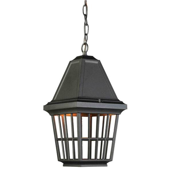 ARTCRAFT Godiva 1-Light Black Outdoor Pendant