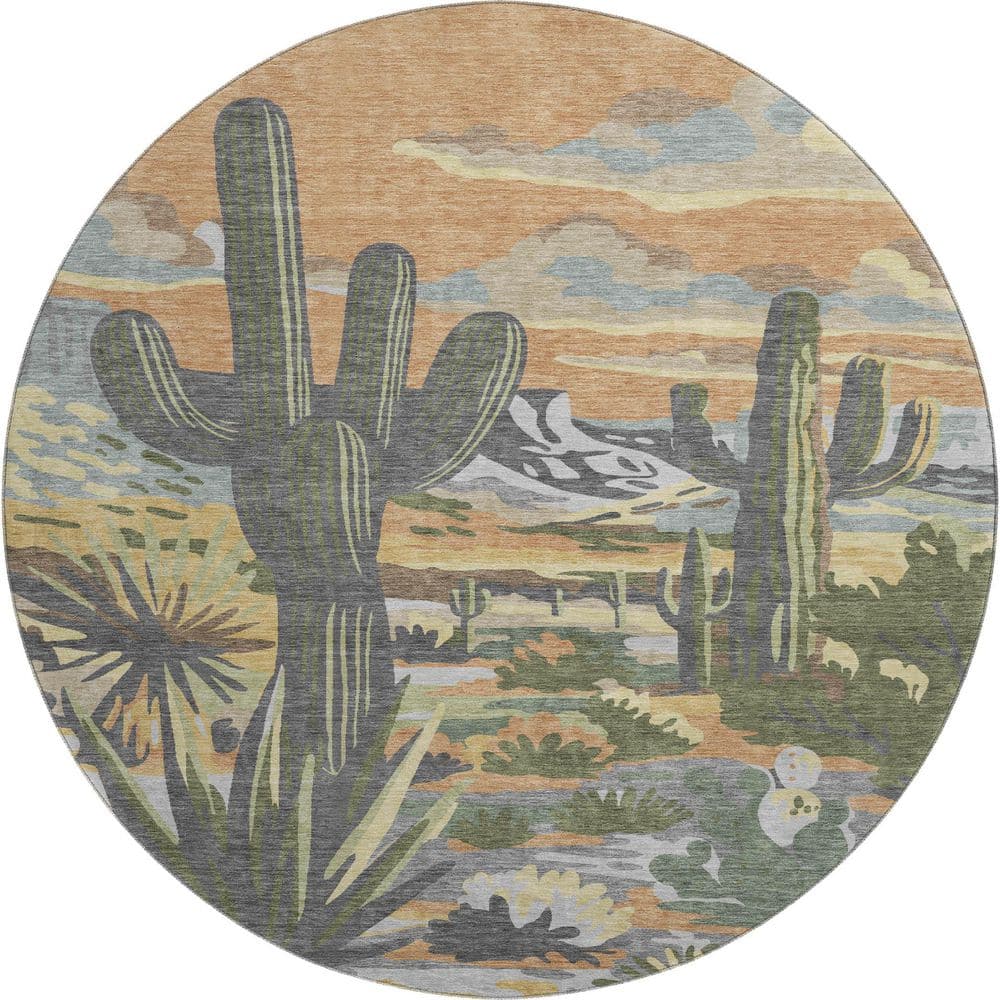 Mayfield Premium Machine Washable Abstract AMF2496 Copper 8 ft. x 8 ft. Round Rug price history on PriceWatchPro