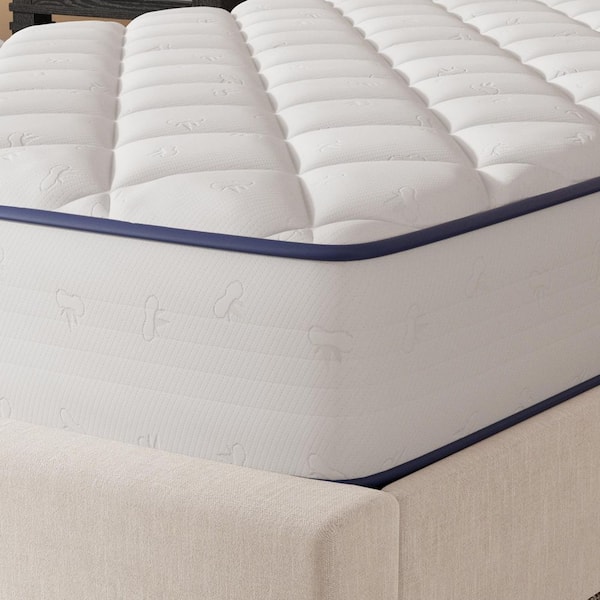 Avenco Queen Medium Firm Hybrid Gel Infused Memory Foam 8 in. Bed