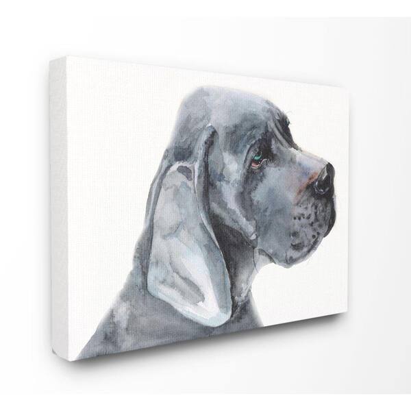 Stupell Industries 16 In X In Great Dane Dog Pet Grey By George Dyachenko Canvas Wall Art Pwp 263 Cn 16x The Home Depot