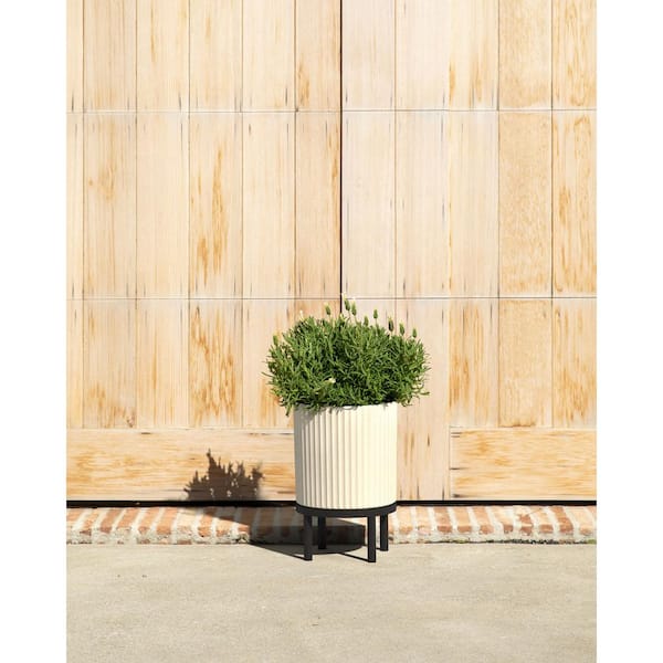Demi 12 in. Raised with Stand Round Sand Plastic Planter with Black Stand