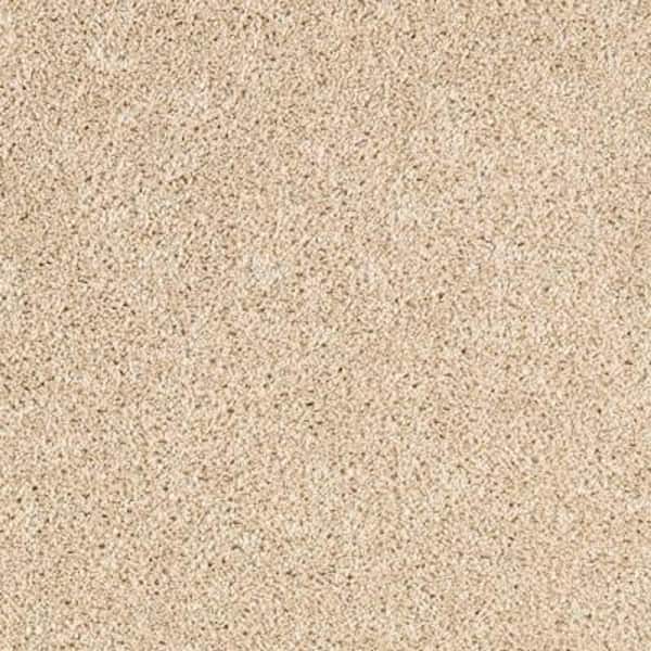 Lifeproof 8 in. x 8 in. Texture Carpet Sample - Gorrono Ranch I -Color Safe Haven