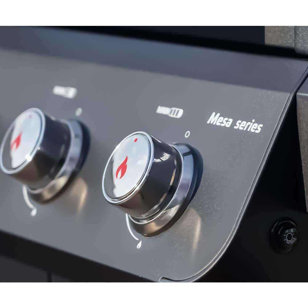 Mesa Black 2-Burner Stainless Steel Propane Gas Grill with LED Controls