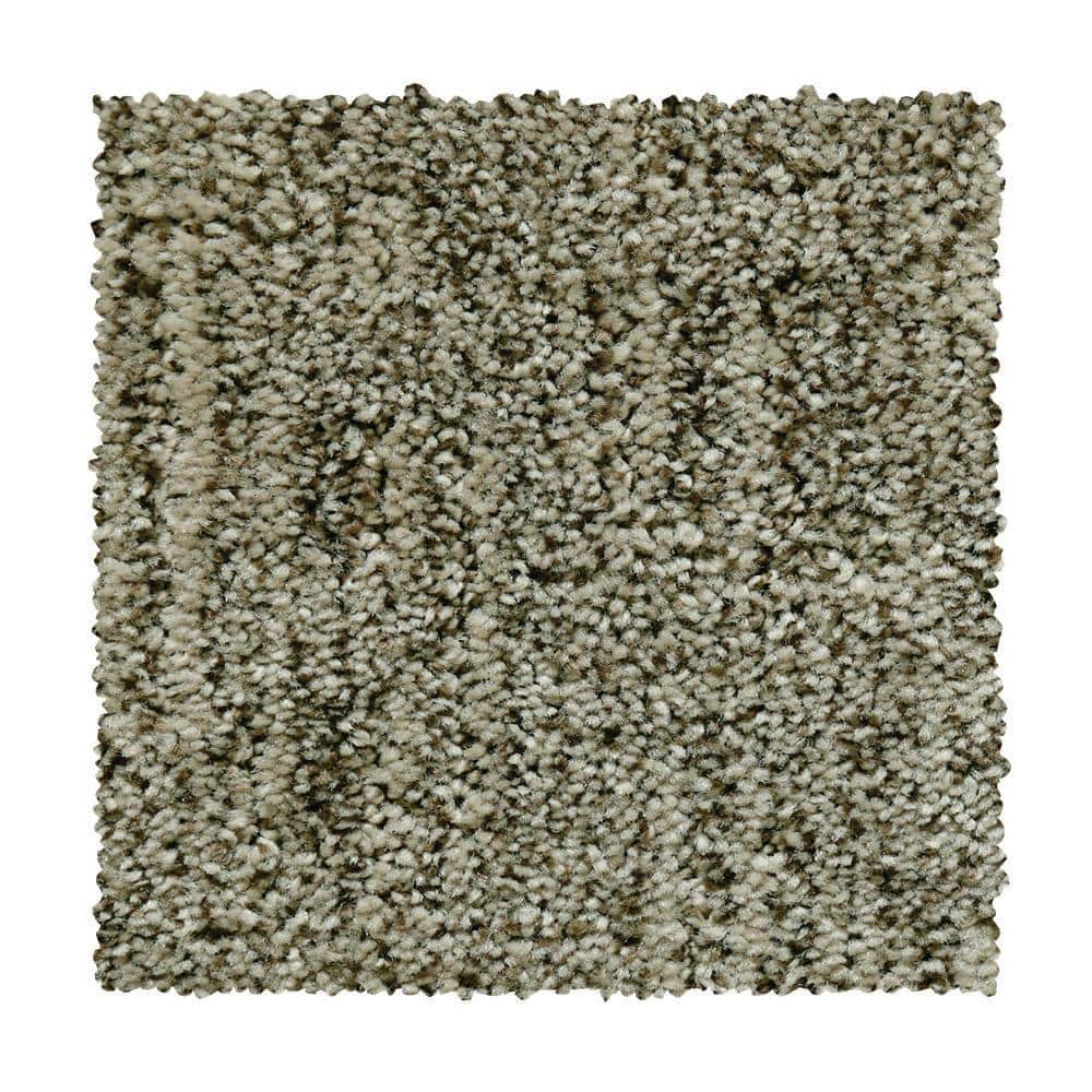 8 in. x 8 in. Pattern Carpet Sample - Corry Sound - Color Leafless Branch price history on PriceWatchPro
