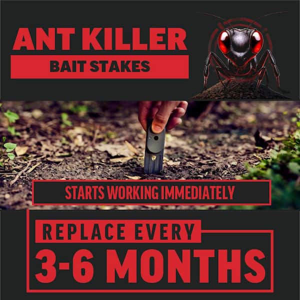 Indoor/Outdoor Ant Killer Bait Stakes (8-Count)