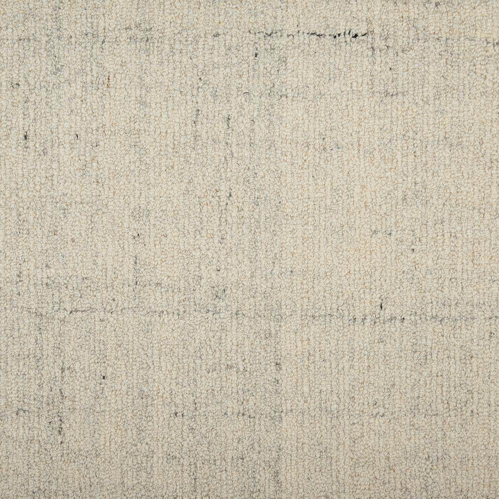 6 in. x 6 in. Texture Carpet Sample - Surface - Color Tundra price history on PriceWatchPro