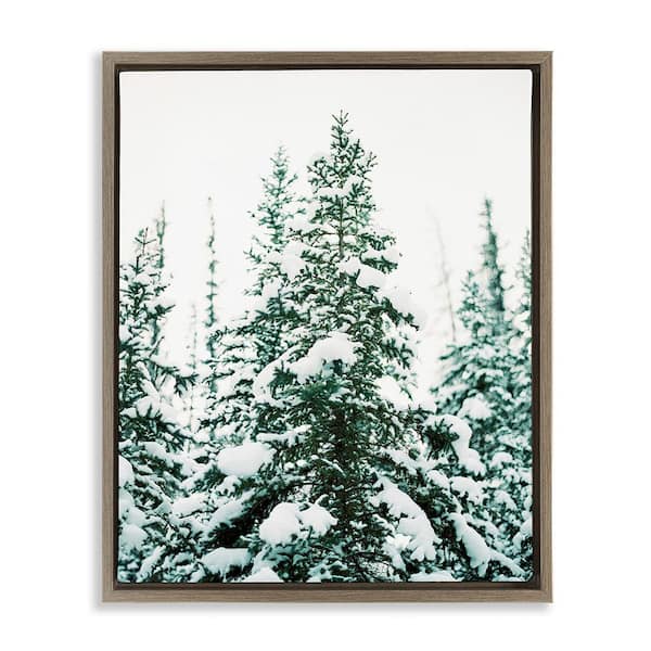 Stupell Industries Woodland Fir with Snow by Justine Milton 1-Piece Floater Frame Graphic Print Nature Poster Art Print 31 in. x 25 in.