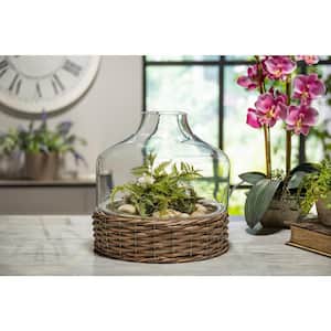 10.2 in. D x 8.6 in. H Brown Glass and Rattan Cloche