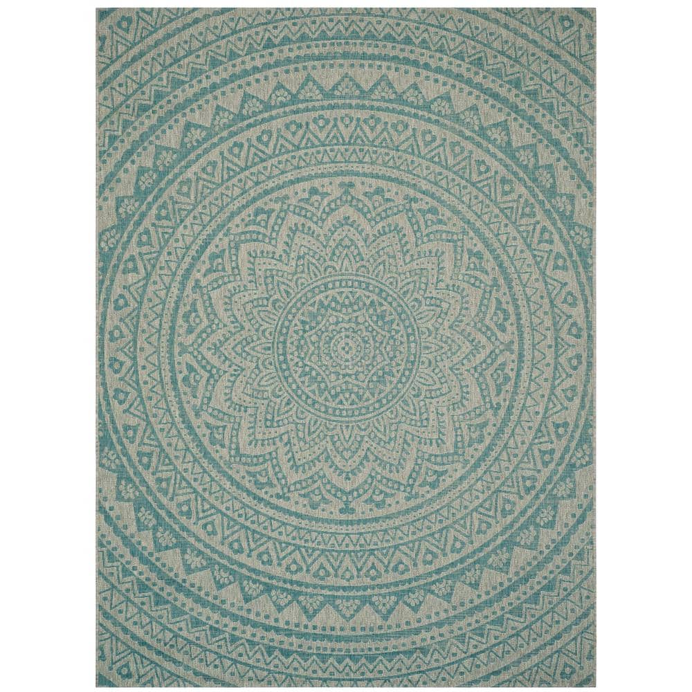 Light Gray/Aqua Flat Woven Reversible Synthetic Area Rug