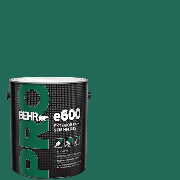 1 gal. #S-H-480 Forest Rain Semi-Gloss Exterior Paint