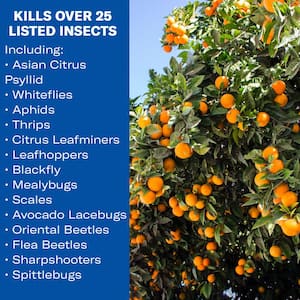 1.3 Gal. Concentrated Outdoor Fruit and Citrus Tree Insect Killer