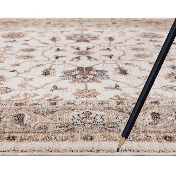 Cashmere Ivory 8 ft. x 10 ft. Traditional Area Rug