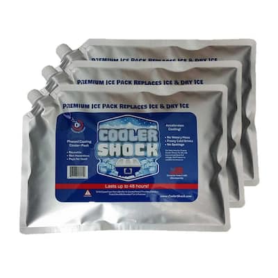 Cooler Freeze Packs - Reusable Large Screw Cap Ice Packs 10 in. x 14 in. Equivalent to 18 lbs. of Ice (3-Set)