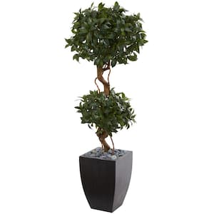 4.5 ft. Sweet Bay Artificial Double Topiary Tree in Black Wash Planter