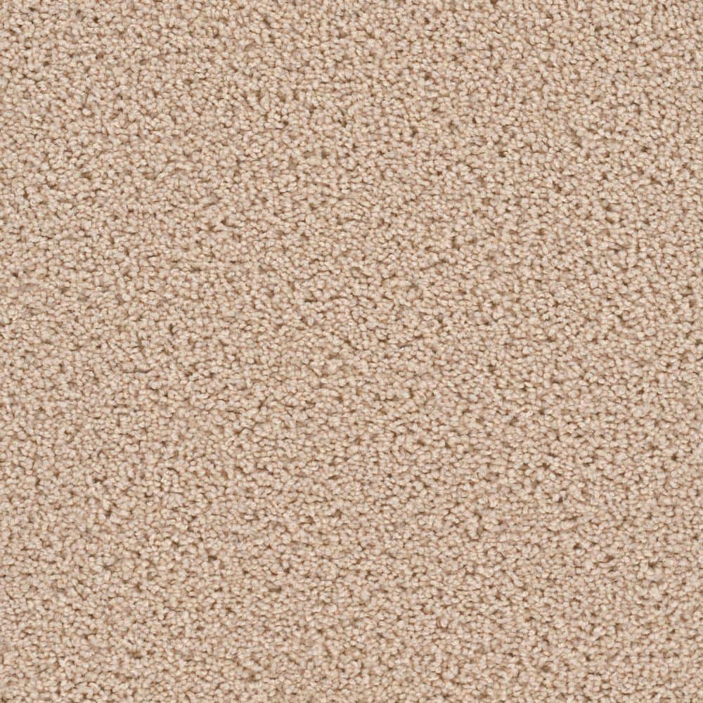 8 in. x  8 in. Texture Carpet Sample - Happy Chance -Color Sunny price history on PriceWatchPro