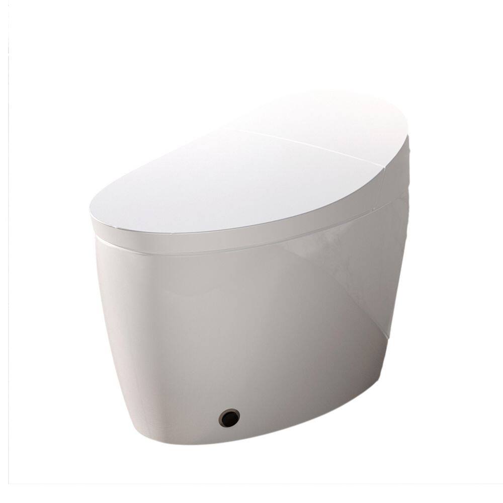 Elongated Smart Bidet Toilet 1.28 GPF in White with Auto Flush, Heated Seat, 4 Washing Modes, LED Display, Night Light price history on PriceWatchPro