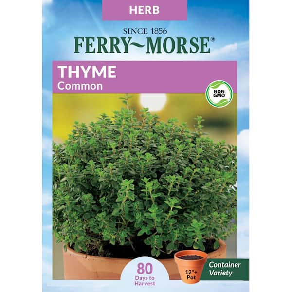 Ferry-Morse Thyme Common Seed