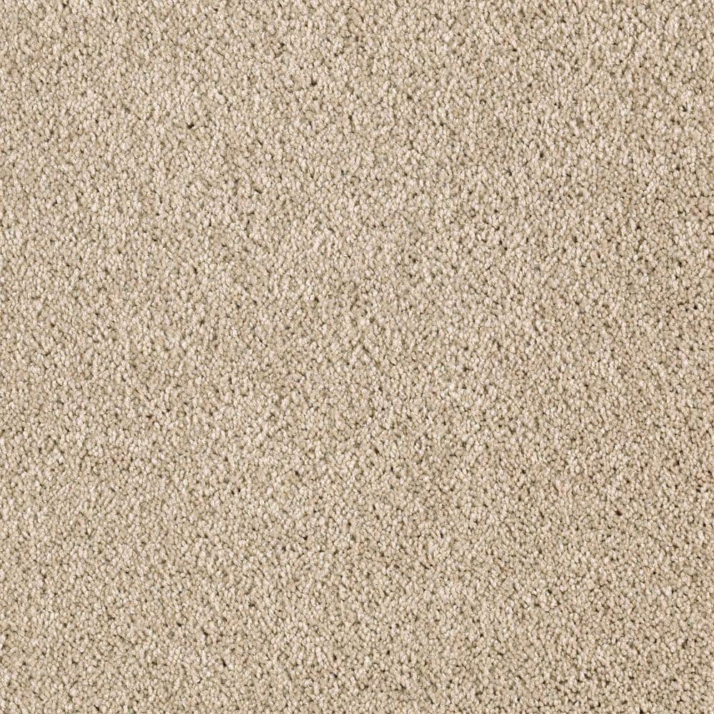 8 in. x 8 in. Texture Carpet Sample - Ambrosina I -Color Coastline price history on PriceWatchPro
