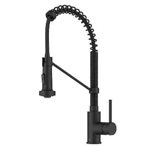 Bolden Single-Handle Pull-Down Sprayer Kitchen Faucet with Dual Function Sprayhead in Matte Black