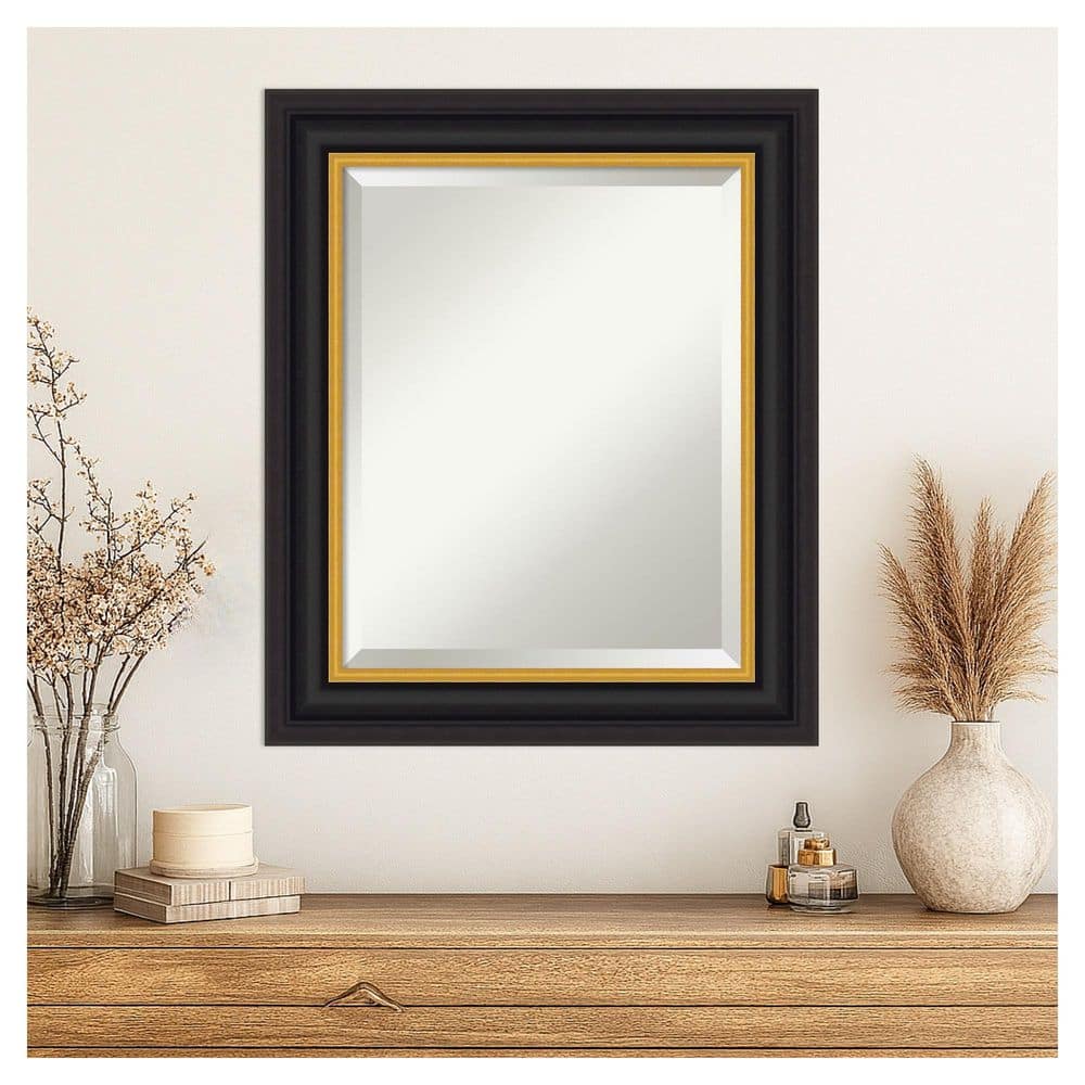 Sierra Black Brown 21.5 in. x 25.5 in. Beveled Modern Rectangle Wood Framed Wall Mirror price history on PriceWatchPro
