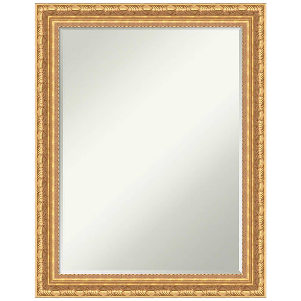 Amanti Art Versailles Gold 22 in. x 28 in. Petite Bevel Classic