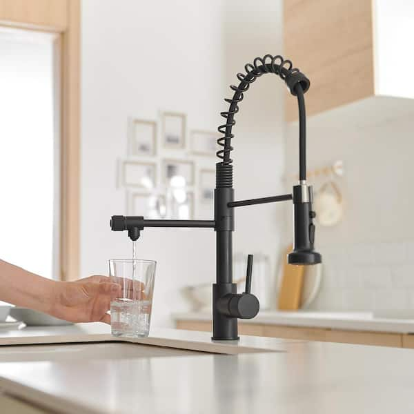 Fapully Single-Handle Pull-Down Sprayer Kitchen Faucet, 3 in 1 Drinking Water Faucet in Matte Black