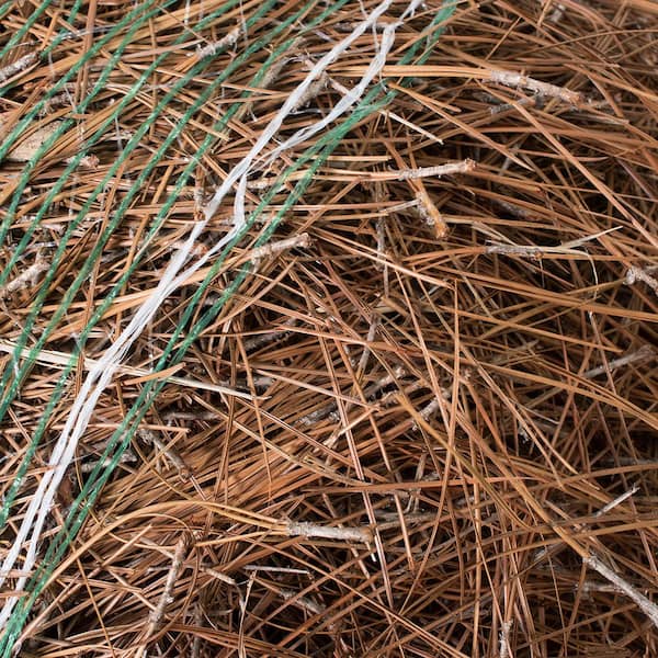 Long Leaf Pine Straw Bale