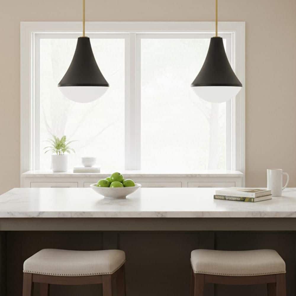 Haddie 1-Light Black Cone Pendant Light price history on PriceWatchPro