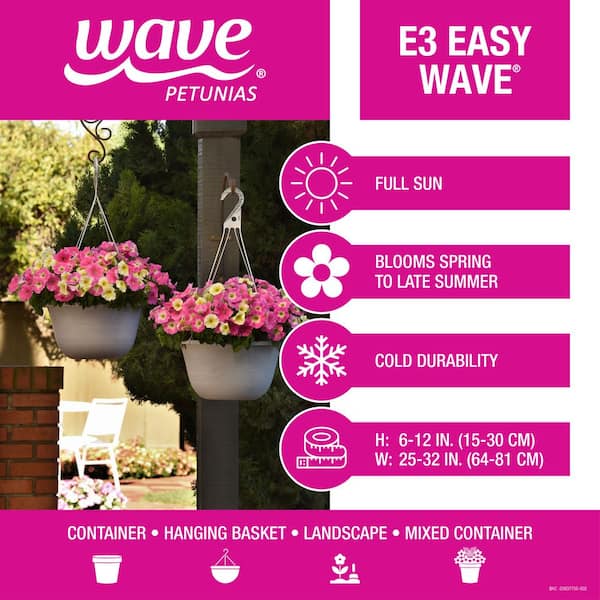 EASY WAVE 20 In. Blue Easy Wave Petunia Annual Plant with Dark