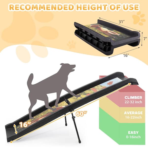 COZIWOW Folding Pet Ramp for Large Small Dogs, Dog Ramp for Cars - Main Image