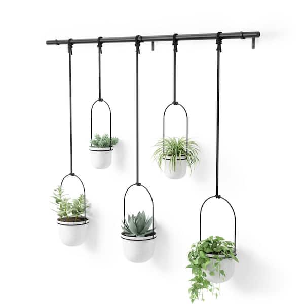 Triflora Hanging Planter White of 5) 1018086-660 - The Home Depot