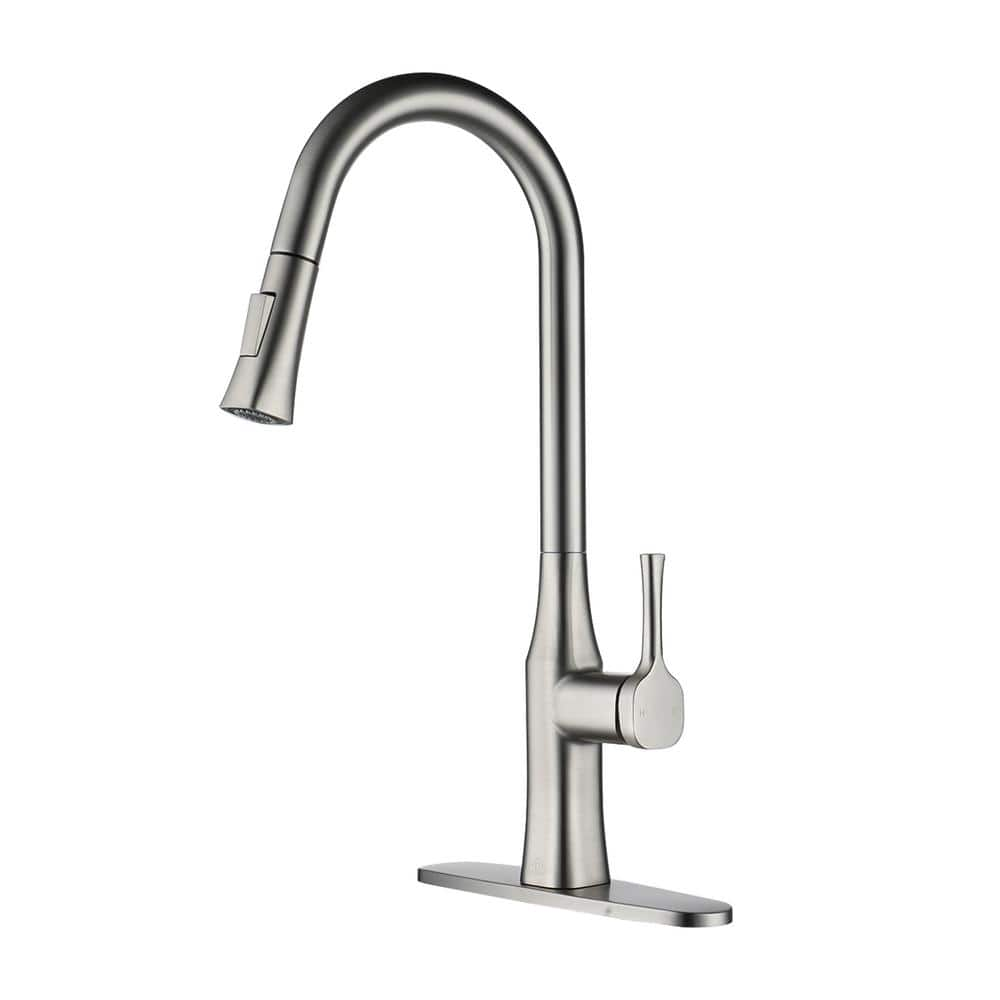 CASAINC Single Handle Pull Down Sprayer Kitchen Faucet with Dual ...