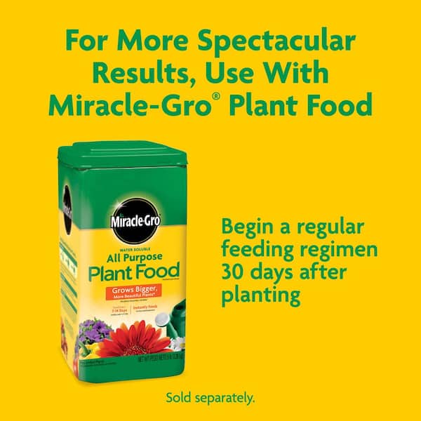 Miracle-Gro Potting Mix Soil 25 qt. For Container Plants, Flowers,  Vegetables, Shrubs, Feeds up to 6-Months 72781431 - The Home Depot