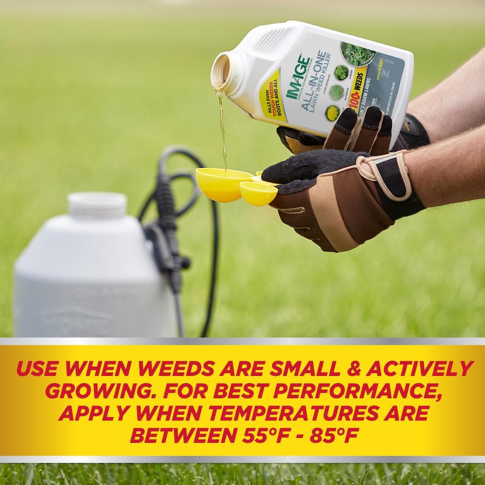 Herbicides All-In-One Lawn Weed Killer Concentrate | Ubuy Botswana