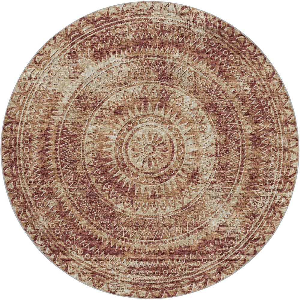 Dream Shag Premium Machine Washable Abstract ADS113 Canyon 8 ft. x 8 ft. Round Rug price history on PriceWatchPro